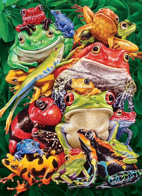 Puzzle 1000 el. Kolorowe żaby