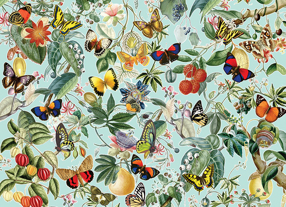 Puzzle 1000 el. Owoce i motyle